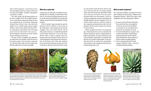What's Wrong With My Plant? (And How Do I Fix It?): A Visual Guide to Easy Diagnosis and Organic Remedies (Whats Wrong Series)