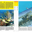 Reef Smart Guides Florida: Fort Lauderdale, Pompano Beach and Deerfield Beach: Scuba Dive. Snorkel. Surf. (Best Diving Spots in Florida)