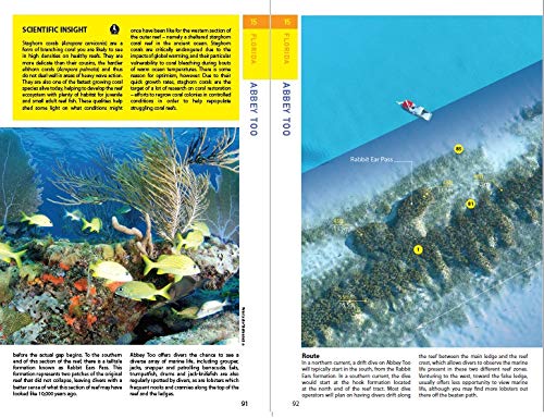 Reef Smart Guides Florida: Fort Lauderdale, Pompano Beach and Deerfield Beach: Scuba Dive. Snorkel. Surf. (Best Diving Spots in Florida)