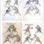 The Martial Arts of Renaissance Europe