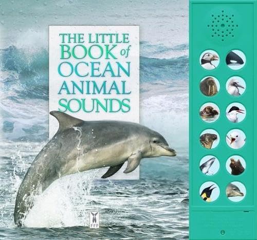 Little Book Of Ocean Animal Sounds by Caz Buckingham