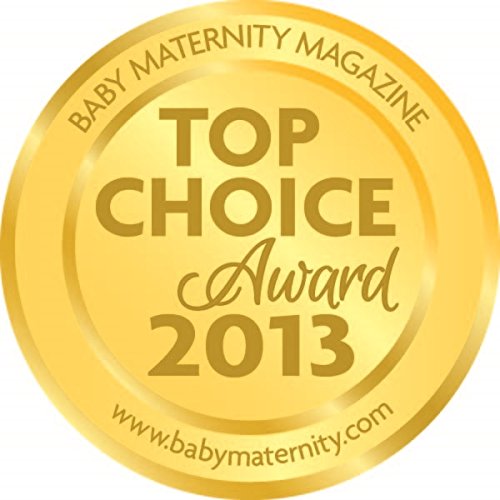 Making Me: The Pregnancy Activity Book for My Big Brother or