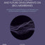Current Trends and Future Developments on (Bio-) Membranes: Techniques of Computational Fluid Dynamic (CFD) for Development of Membrane Technology