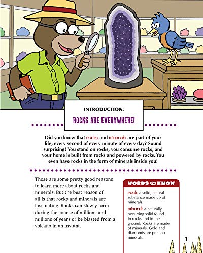Rocks and Minerals!: With 25 Science Projects for Kids