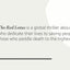 The Red Lotus: A Novel (Vintage Contemporaries)