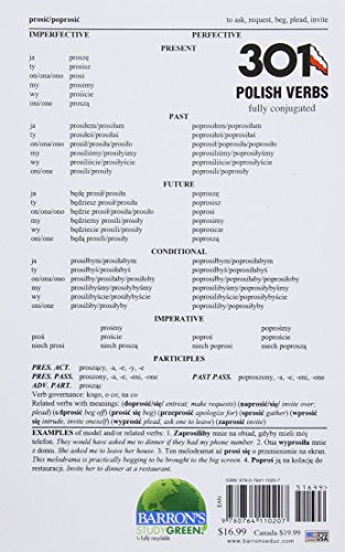301 Polish Verbs (Barron's Verb Series)