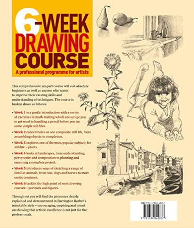 6-Week Drawing Course