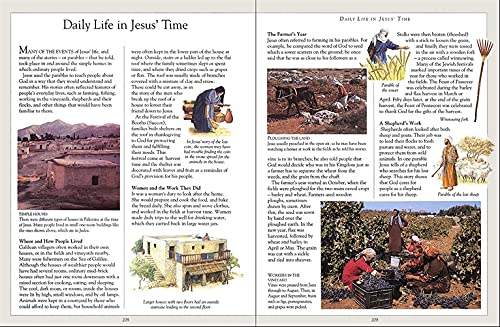 The Children's Illustrated Bible (DK Bibles and Bible Guides)