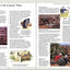 The Children's Illustrated Bible (DK Bibles and Bible Guides)
