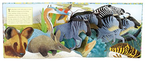 Sounds of the Wild: Safari (Pledger Sounds)