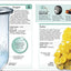 Pocket Genius: Elements
