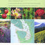 New Sunset Western Garden Book -- Flexibind Edition (New Flexi Cover)