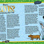 Where's Elvis?: Find the King of Rock 'n' Roll (Find Me)