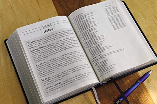 The Jesus Bible, ESV Edition, Leathersoft, Black