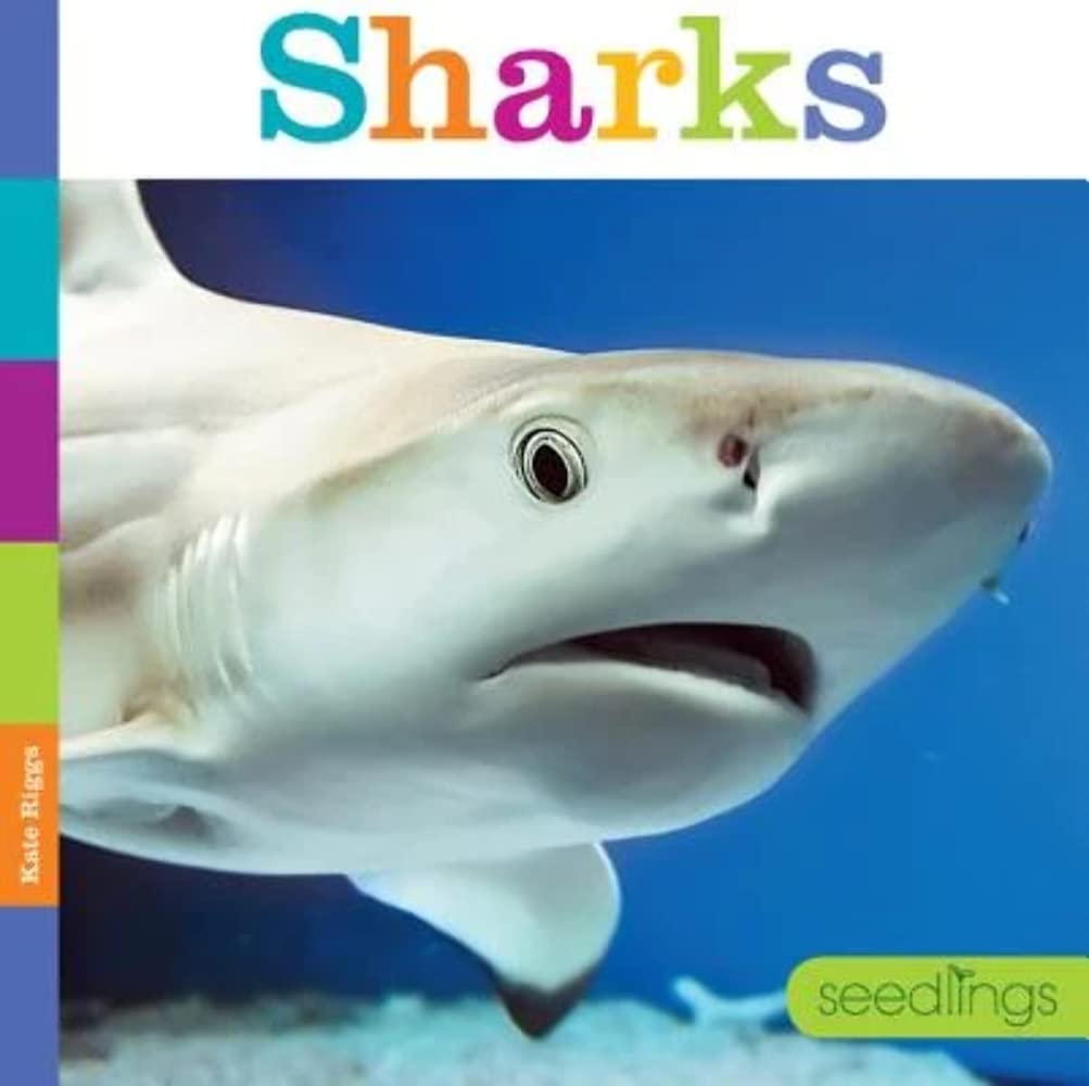 Seedlings: Sharks