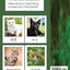 Yes, I love cats! A picture book with light verse (Large print): For cat lovers living with dementia, brain injury, or other life challenges