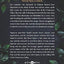 The Vine Witch (The Vine Witch, 1)