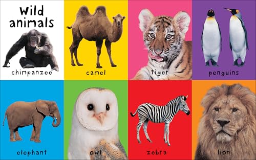 First 100 Big Board: Animals: In the bestselling First 100 series