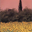 Provence