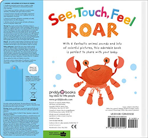 See, Touch, Feel: Roar: A First Sensory Book