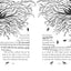 Pages & Co.: Tilly and the Lost Fairytales (Pages & Co., Book 2)