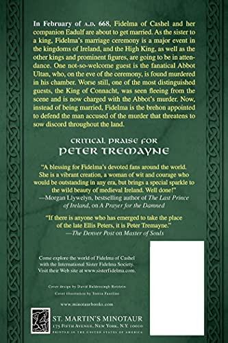 A Prayer for the Damned: A Mystery of Ancient Ireland (Mysteries of Ancient Ireland, 17)