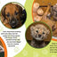 Ruuxa & Raina: A Cheetah and Dog's True Story of Friendship and Miracles