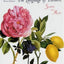 The Language of Flowers
