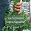 The Complete Gardener: A Practical, Imaginative Guide to Every Aspect of Gardening