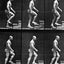 The Human Figure in Motion