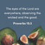 Amos - Bible Study Book with Video Access: An Invitation to the Good Life