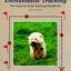 Enthusiastic Tracking, The Step-by-Step Training Manual