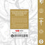 Fullmetal Alchemist: A New Beginning