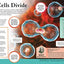 Children's Human Body Encyclopedia (Arcturus Children's Reference Library, 5)