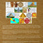 Mayan Coloring Book