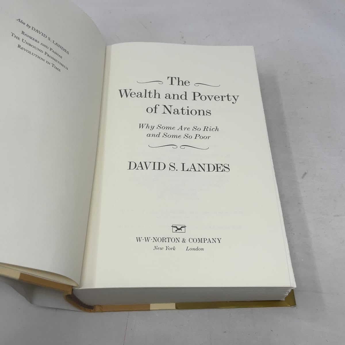 The Wealth and Poverty of Nations: Why Some Are So Rich and Some So Poor