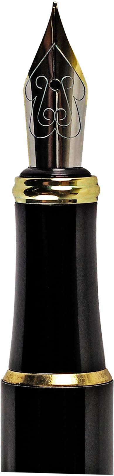 Mushrooms Fountain Pen with Fine Nib (includes black ink cartridge and piston coverter)