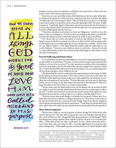 NIV, Beautiful Word Bible, Hardcover: 500 Full-Color Illustrations