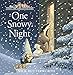 One Snowy Night