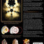 A New Sacred Geometry: The Art and Science of Frank Chester