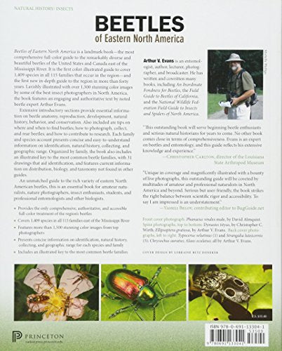 Beetles of Eastern North America — back cover