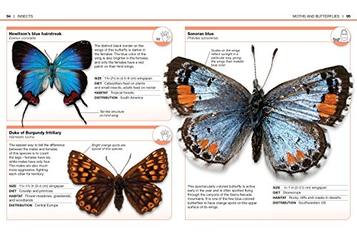 Pocket Genius Bugs: Facts at Your Fingertips