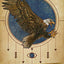 Angels and Ancestors Oracle Cards: A 55-Card Deck and Guidebook