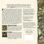 Battle Lines: A Graphic History of the Civil War