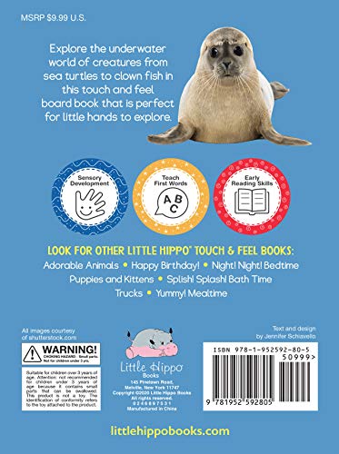 Ocean Friends - Touch and Feel Board Book - Sensory Board Bo