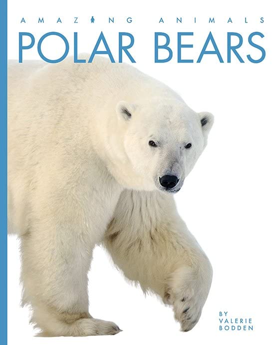 Polar Bears (Amazing Animals)