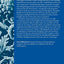 Xenophon: Poroi (Revenue-Sources) (Clarendon Ancient History Series)