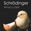 What is Life? (Canto Classics): With Mind and Matter and Autobiographical Sketches