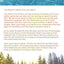 Back to the Gospel: Reviving the Church through the Message that Birthed It