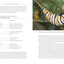 Bringing Nature Home: How You Can Sustain Wildlife with Native Plants, Updated and Expanded